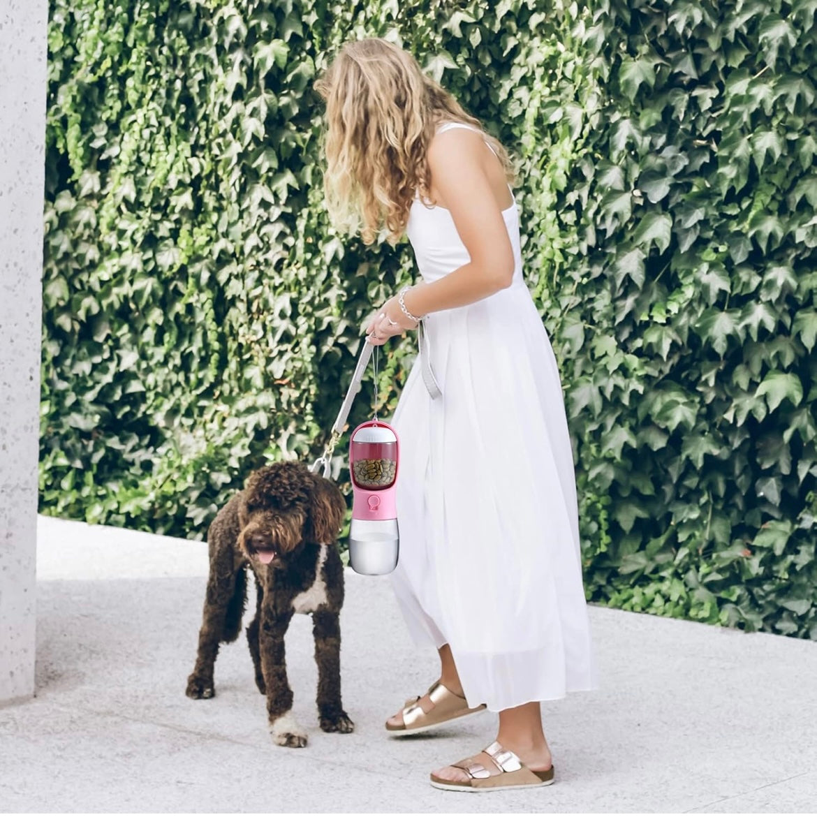 2-in-1 Pet Water Bottle and Food Dispenser