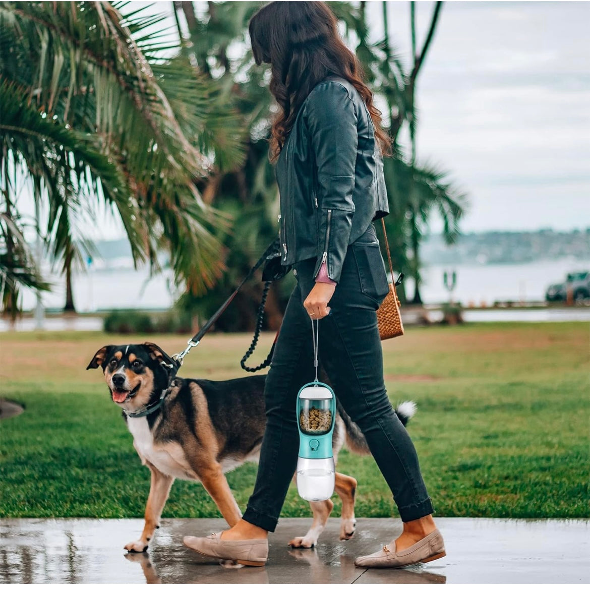 2-in-1 Pet Water Bottle and Food Dispenser